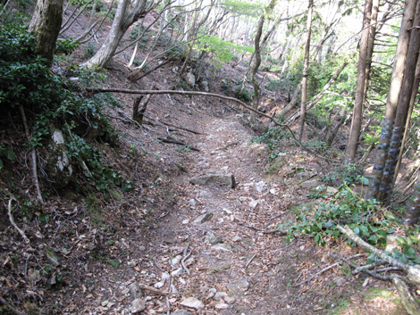 20140502hike (400)